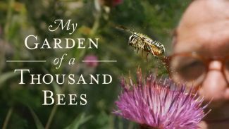 My Garden of a Thousand Bees Graphic