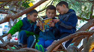 Boys reading book in tree