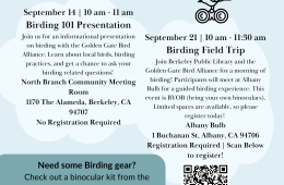 All About birding Flyer