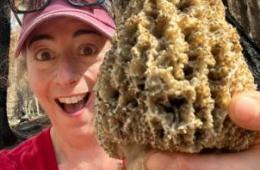 Carrie holds a morel mushroom