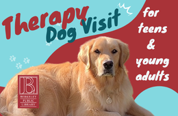 Golden retriever laying down and looking into the camera, wavy light blue and burgundy background with text:  Therapy Dog Visit for teens & young adults