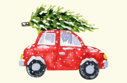 image of a red car with a Christmas tree tied to the roof
