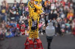 Lion Dancer