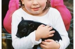 Little girl holding a pig