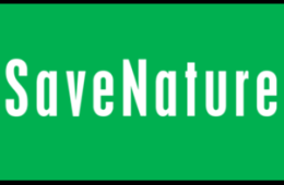 save nature.org logo
